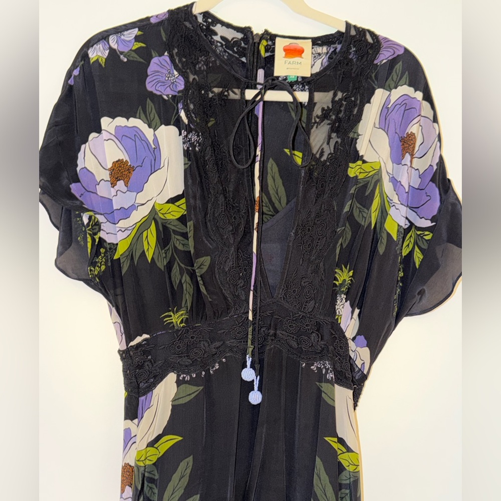Farm rio Black Floral Lace-Trim Sheer Maxi Dress with Purple Blooms - Picture 2 of 4